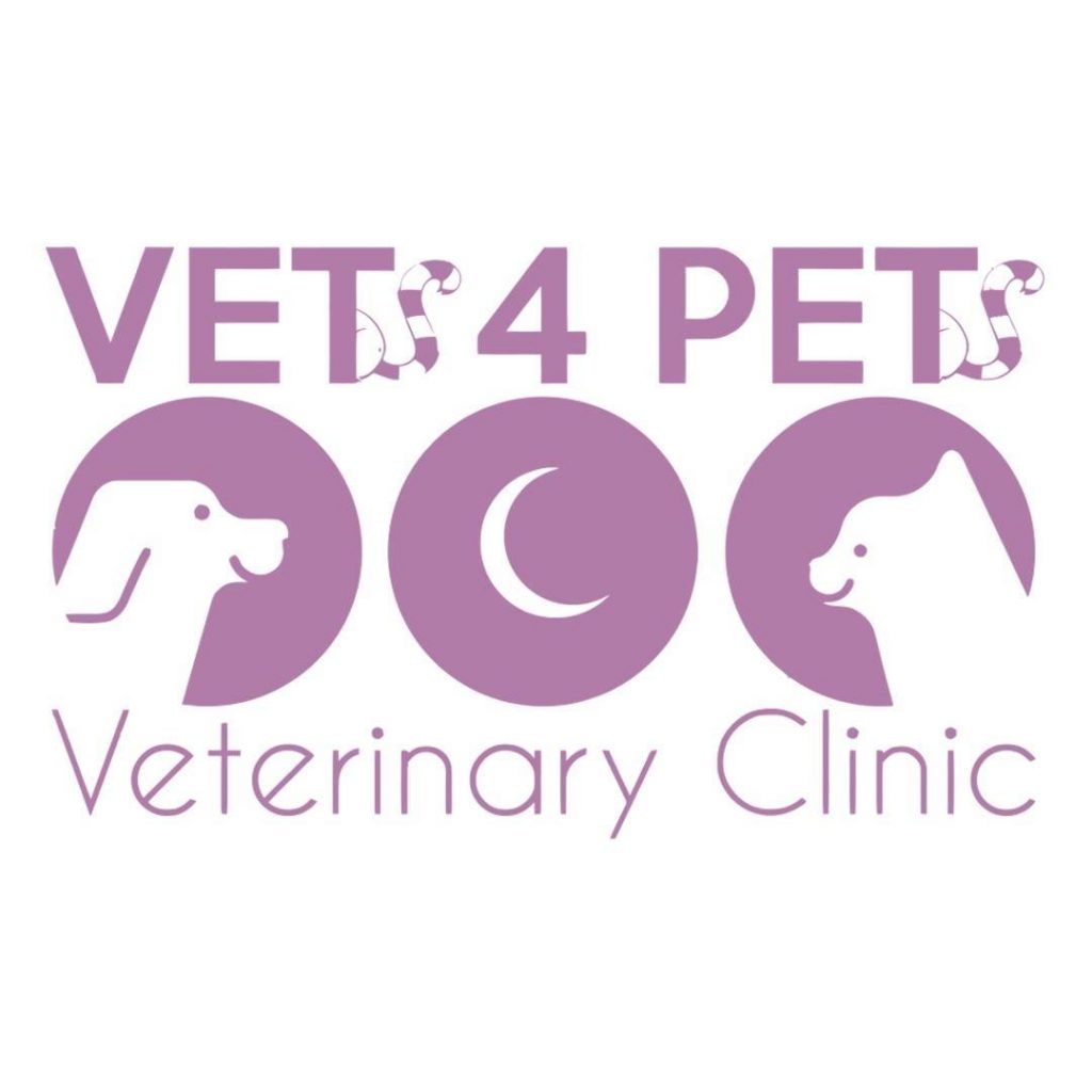 Vets 4 Pets Veterinary Clinic Qatar عيادة فيتس فور للحيوانات الأليفة